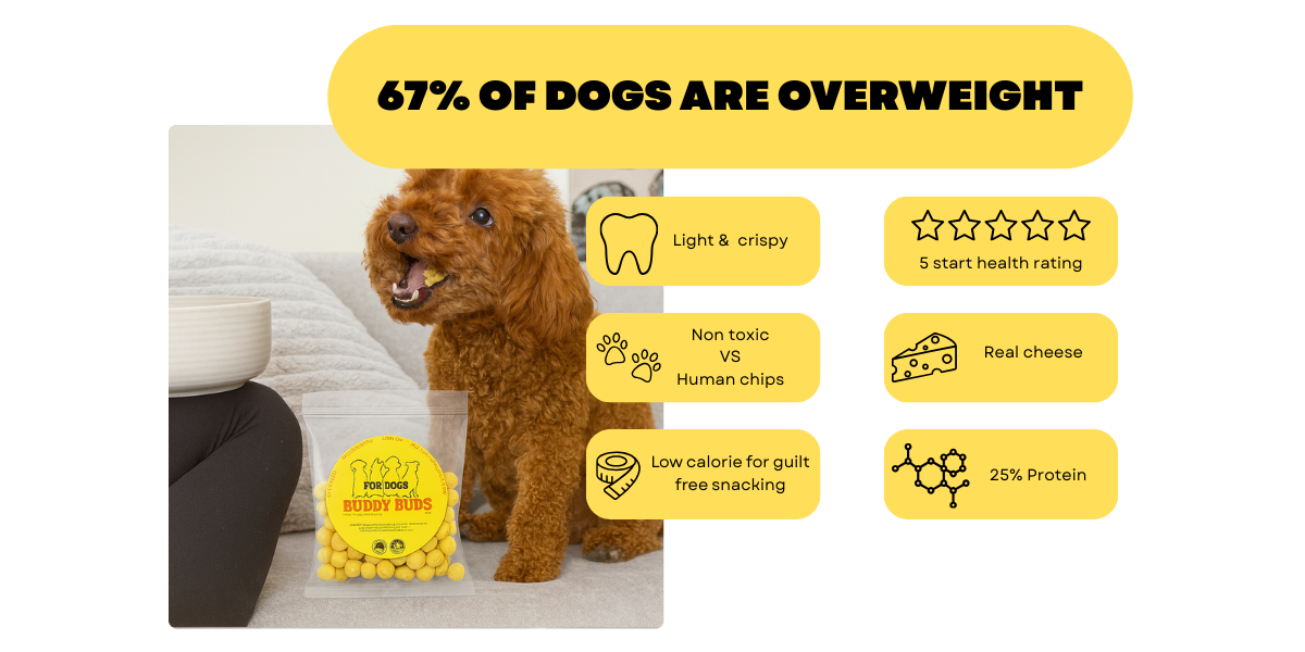 facts about dogs